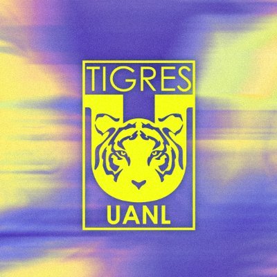 Club Tigres Femenil 🐯's profile picture