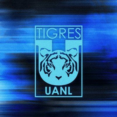 ClubTigresEN's profile picture