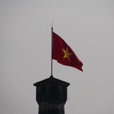 vietgal's profile picture