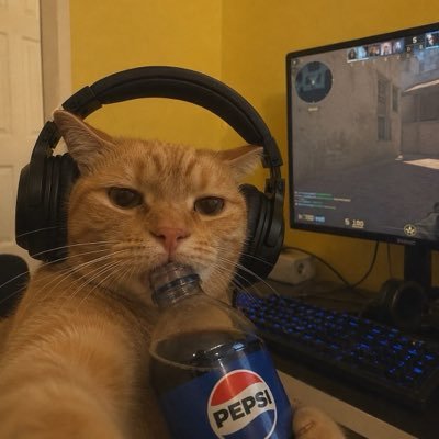GlobalSociaNews's profile picture