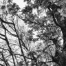 Фото профиля ✦