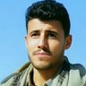 مصطفى's profile picture