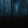 Фото профиля Forest