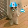 El chico que se parece mucho a Gangle 🇦🇷 ♥️ profil fotoğrafı