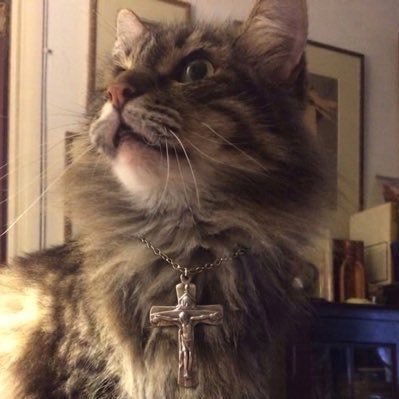 matztheosis's profile picture