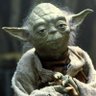 Greenmaster's profile picture