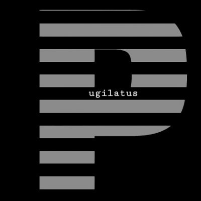 pugilatuss's profile picture