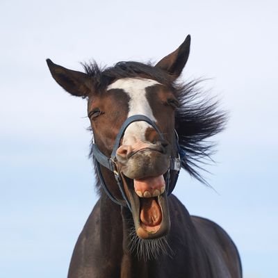 Yosorer's profile picture