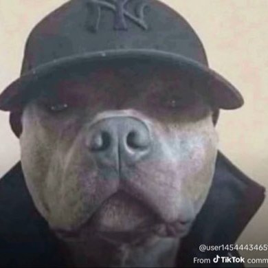 LaaaaMilkbuttar's profile picture