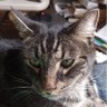 Profilbild von Gary Heintz