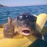 RG5's profile picture