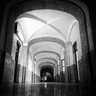 Profilbild von kourosh kiyantaj/MBI