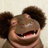 coco's profile picture
