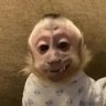 mona?✨'s profile picture