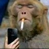 The Machine's profile picture