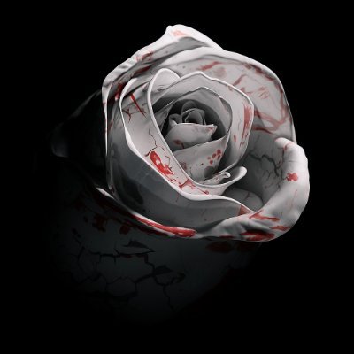 eduvalenthim's profile picture