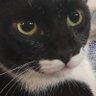 eve's profile picture