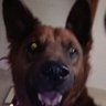Profilbild von DirkD