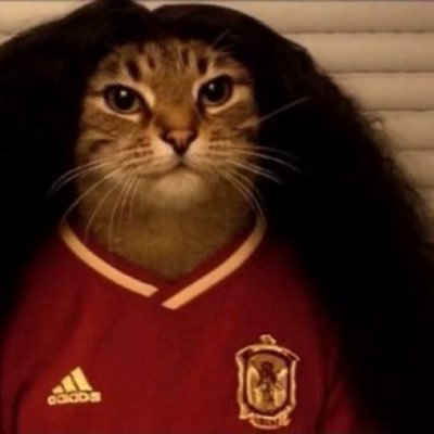 🇪🇸🇪🇬 نوءنوء's profile picture