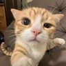 Ronald's profile picture