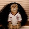 🇾🇪🇧🇷 cucu cucurella se come una paella's profile picture