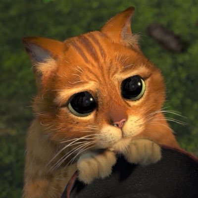 TAYEBISHACAT's profile picture