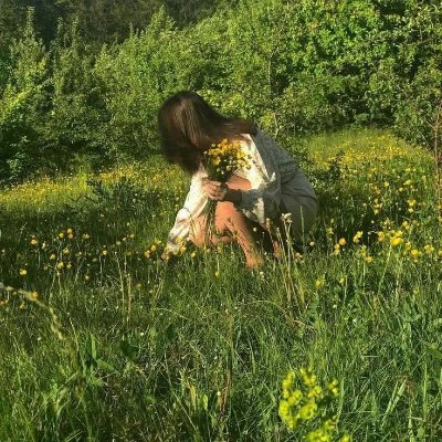 NaturePulse☘️🏝🏞's profile picture