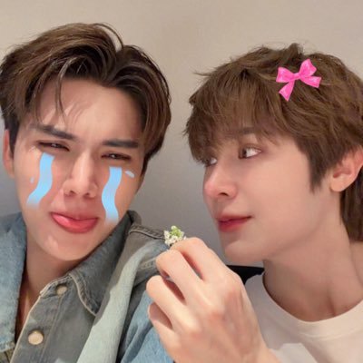 fibi's profile picture