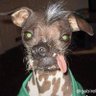 Profilbild von El Beto