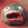 WAILING BLOB's profile picture