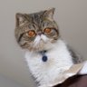 Profilbild von Rick