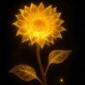 Pyae's profile picture