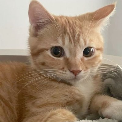 bxdig58755897's profile picture