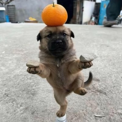 lck_itsempty's profile picture