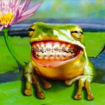 🇧🇷 BOB꩜ 土 QSMP2 .ᐟ's profile picture