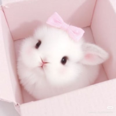 ฟบ ౨ৎ˚⟡ Ი𐑼's profile picture