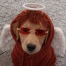 Barking Angel profil fotoğrafı