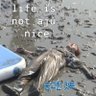 Cer 的头像