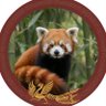 ポポ/ムシキング profil fotoğrafı