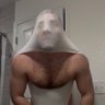 Wedgie profil fotoğrafı