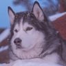 Profilbild von Uther