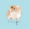 チャイはうさぎ's profile picture