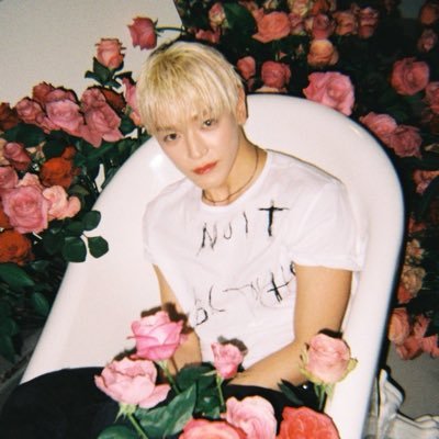 julfeb ♡'s profile picture