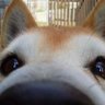 andndin's profile picture