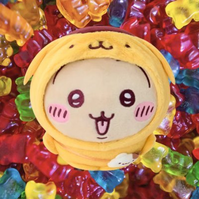하리보's profile picture