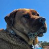 Edgar Friendly profil fotoğrafı