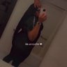 Lia_Bunny profil fotoğrafı