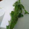 Фото профиля حسن ابو عبدالله