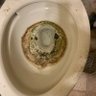 Фото профиля Jeffys_toilet