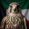هيثم ( أبن الصقر ) profil fotoğrafı